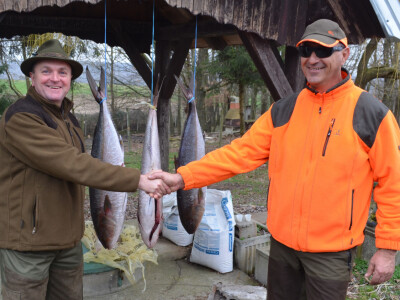 Prije početka lova primoštenski lovac Jere predao je domaćinima prema višegodišnjoj tradiciji tri gofa da se lovci počaste ovom kvalitetnom jadranskom ribom