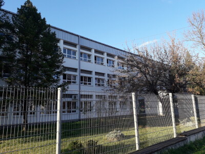 Bukovače iz školskog gljivarnika Bukovače iz školskog gljivarnika