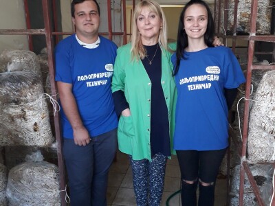 Bukovače iz školskog gljivarnika Bukovače iz školskog gljivarnika