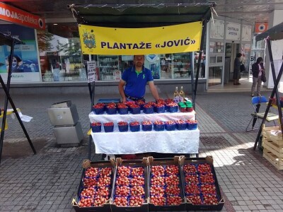 Prijedorčani, dođite i berite sami sebi jagode! Prijedorčani, dođite i berite sami sebi jagode!