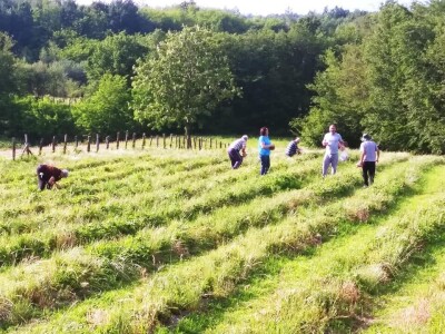 Prijedorčani, dođite i berite sami sebi jagode! Prijedorčani, dođite i berite sami sebi jagode!