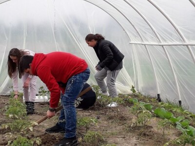 Prijedorske osnovne škole dobile plastenike Prijedorske osnovne škole dobile plastenike