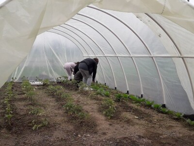 Prijedorske osnovne škole dobile plastenike Prijedorske osnovne škole dobile plastenike