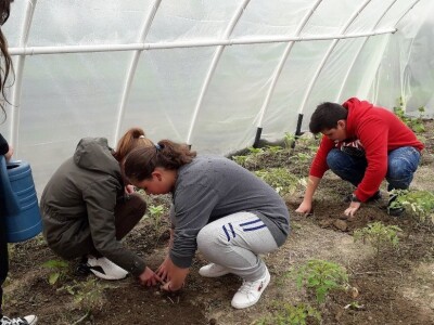 Prijedorske osnovne škole dobile plastenike Prijedorske osnovne škole dobile plastenike