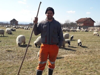 Prijedorski ovčari u pohodu prema Grmeču