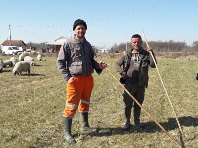 Prijedorski ovčari u pohodu prema Grmeču