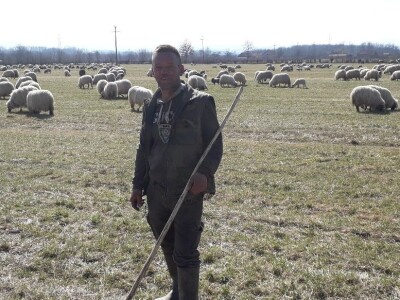 Prijedorski ovčari u pohodu prema Grmeču