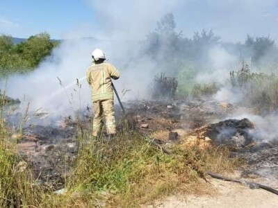 Prijedorski vatrogasci svakodnevno “love” zmije