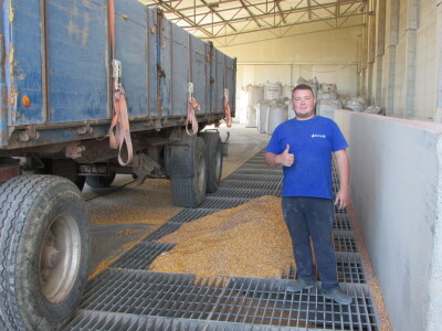 Prijem kukuruza i soje sa domaćih oranica u punom jeku