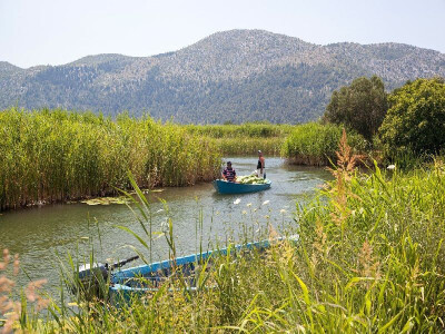 Transport ubranih lubenica gondolama, lađama, čamcima, splavima... Transport ubranih lubenica gondolama, lađama, čamcima, splavima...