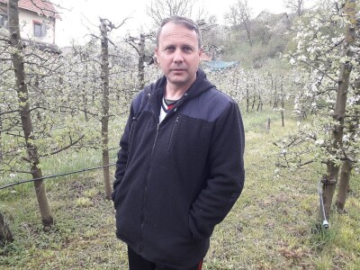 Prijić: Sve je traženije domaće voće i povrće