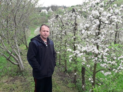 Prijić: Sve je traženije domaće voće i povrće