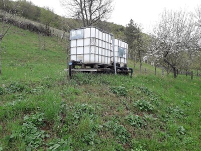 Prijić: Sve je traženije domaće voće i povrće