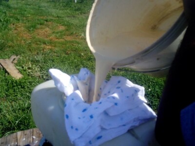 Primjena kaolinske gline u zasadima krusaka Primjena kaolinske gline u zasadima krusaka