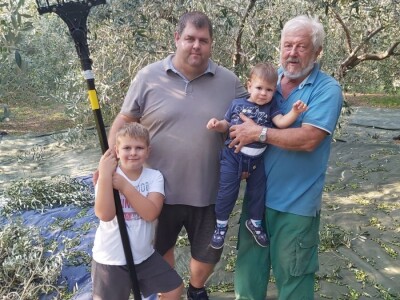 PRIMJER IZ LJUPČA - Dok beru masline Duševićima stiže zlato za liker i vina!