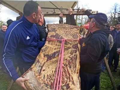 Poljetni vašar u Karancu