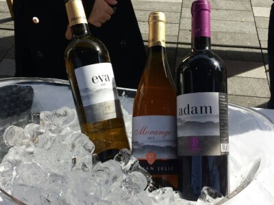 Prinos grožđa nešto manji, ali svi očekuju dobro vino