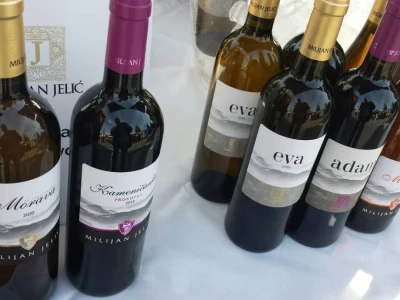 Prinos grožđa nešto manji, ali svi očekuju dobro vino