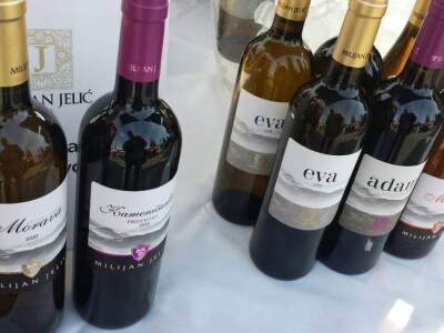 Prinos grožđa nešto manji, ali svi očekuju dobro vino