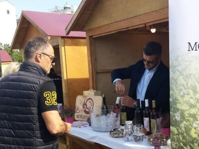 Prinos grožđa nešto manji, ali svi očekuju dobro vino