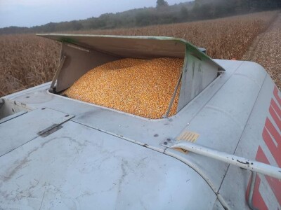 Prinosi dobri kod Popovića