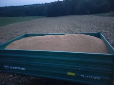 Prinosi dobri kod Popovića