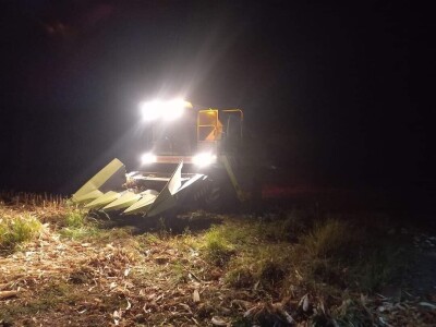 Prinosi dobri kod Popovića