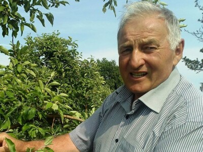 Prinosi voća u Srpskoj Prinosi voća u Srpskoj