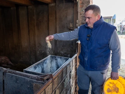 Priprema hrane za svinje na OPG-u Damira Rastije