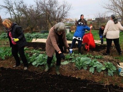Priprema perma gredica za ranu sjetvu povrtnih kultura