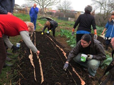 Priprema perma gredica za ranu sjetvu povrtnih kultura