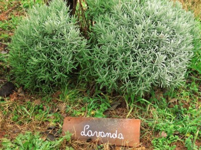 Priprema perma gredica za ranu sjetvu povrtnih kultura