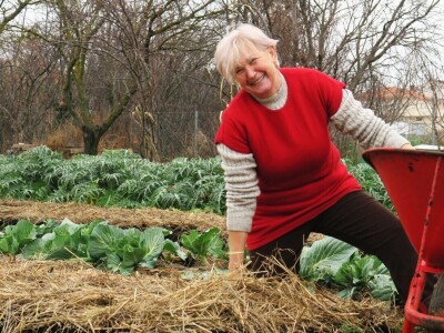 Priprema perma gredica za ranu sjetvu povrtnih kultura