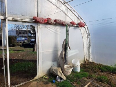 Priprema plastenika za sljedeću proizvodnu sezonu