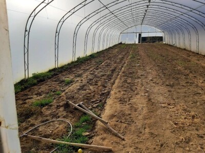 Priprema plastenika za sljedeću proizvodnu sezonu