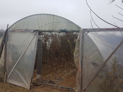 PRIPREMA PLASTENIKA ZA ZIMU I PROLEĆNU SADNJU