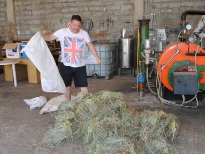 Nove plantaže smilja i destilerije