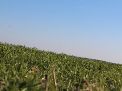 Priprema za proljetnu sjetvu u valpovačkom kraju