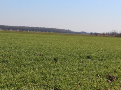 Priprema za proljetnu sjetvu u valpovačkom kraju