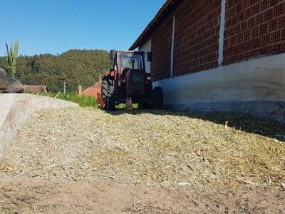 PRIPREME ZA SILAŽU KUKURUZA U TOKU