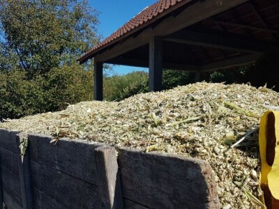 PRIPREME ZA SILAŽU KUKURUZA U TOKU