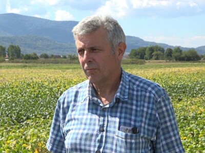 PRIPREME ZA SILAŽU KUKURUZA U TOKU