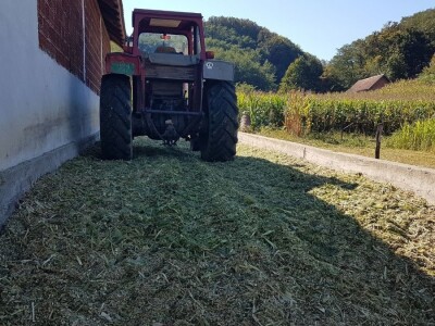 PRIPREME ZA SILAŽU KUKURUZA U TOKU