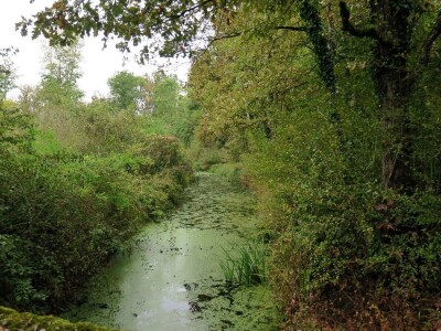 Promatranje ptica Promatranje ptica