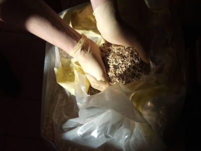 Prirodna gradnja - kuća u Petrinji