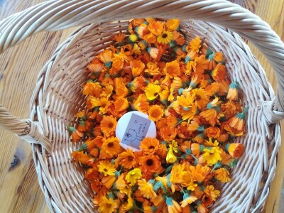 Prirodna kozmetika Koka Mimi Prirodna kozmetika Koka Mimi