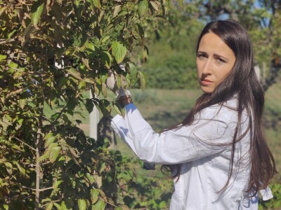 Prirodna kozmetika -ulje od drenjina