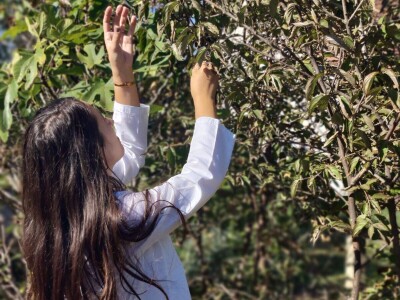 Prirodna kozmetika -ulje od drenjina