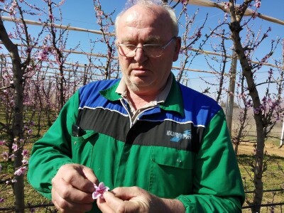 Poljoprivredni obrt Miks Agro i OPG Kovačević Poljoprivredni obrt Miks Agro i OPG Kovačević