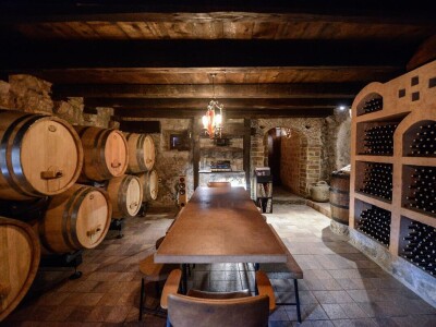 Prirodno vino iz Prizdrine pije se i u Americi